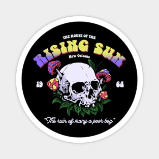 House of the Rising Sun 1964 - 1960s music Magnet